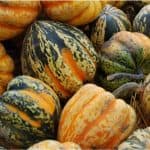 I heard acorn squash helps pregnant women fight constipation. Is this true