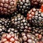 What are the health benefits of eating boysenberries during pregnancy