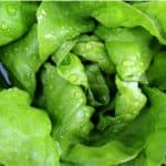 What are the benefits of butterhead lettuce for pregnant women