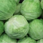 What good does cabbage do for pregnant women