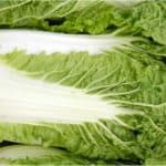 Are you sure leafy veggies like chinese cabbage are fine during pregnancy
