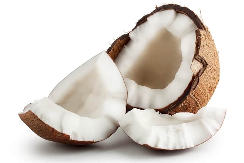 why-is-coconut-meat-a-good-addition-to-my-pregnancy-diet-pregnantplate