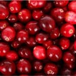 What are the benefits of having cranberry beans during pregnancy