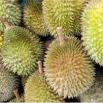 How does durian help in prenatal nutrition during pregnancy