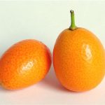 Can I include kumquats in my pregnancy diet