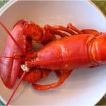 What precautions should I take for eating lobster during pregnancy