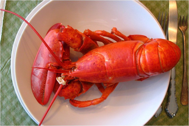 what-precautions-should-i-take-for-eating-lobster-during-pregnancy