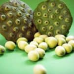 Why should I include lotus seeds in my pregnancy diet