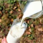 Why is milk a must-add to my pregnancy diet