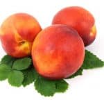 Why should I be cautious while having nectarines during pregnancy