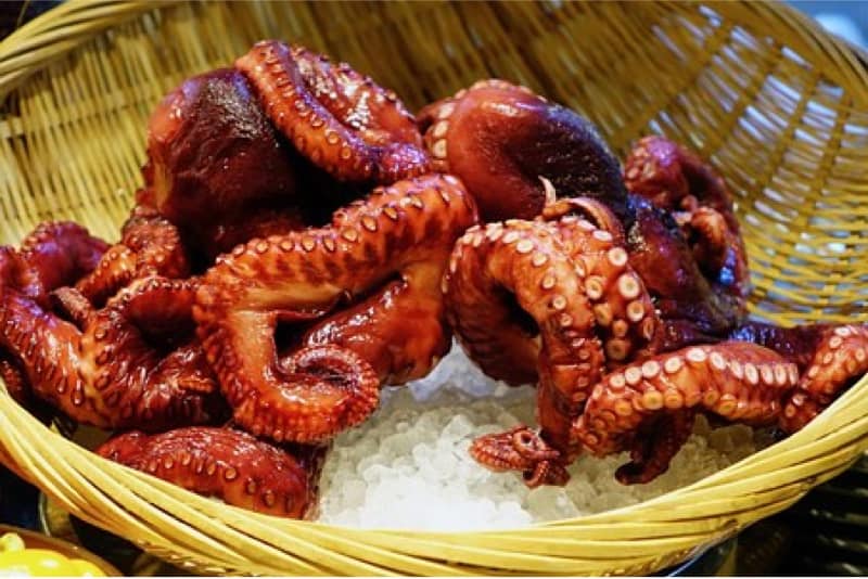 how-can-i-safely-eat-octopus-while-pregnant-pregnantplate