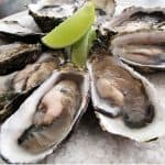 Are oysters better than eating other seafood during pregnancy
