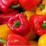 Is eating peppers helpful during pregnancy