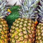 Are there any side effects of having pineapple during pregnancy