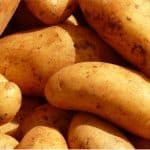 How can eating potatoes help pregnant women