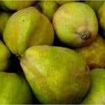 Are there any nutritional benefits of having quinces during pregnancy