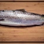 Should I be careful while having seatrout during pregnancy