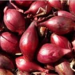 Can shallots in my diet help my pregnancy