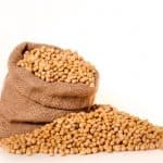 I really like soybean. Should I limit my consumption during pregnancy