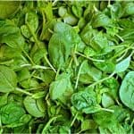 Spinach Palak