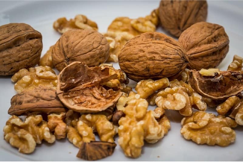 why-are-walnuts-a-must-have-during-pregnancy-pregnantplate